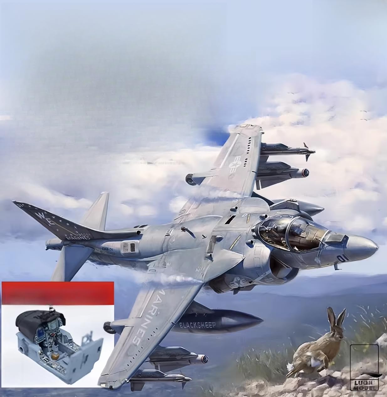 Amazon | 模型 1/48 スケール US D1001 AV-8B ハリアーII プラス